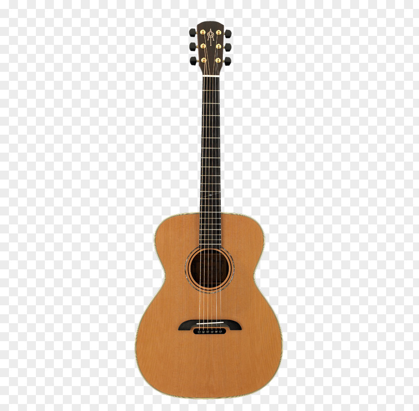 Western Electric Sound System Steel-string Acoustic Guitar Classical Vector Graphics PNG
