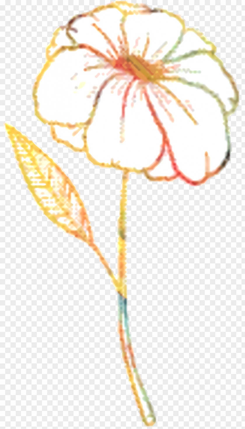 Wildflower Poppy Family Flower PNG