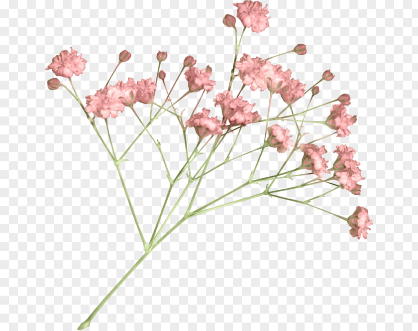 A Bouquet Of Flowers Flower Clip Art PNG