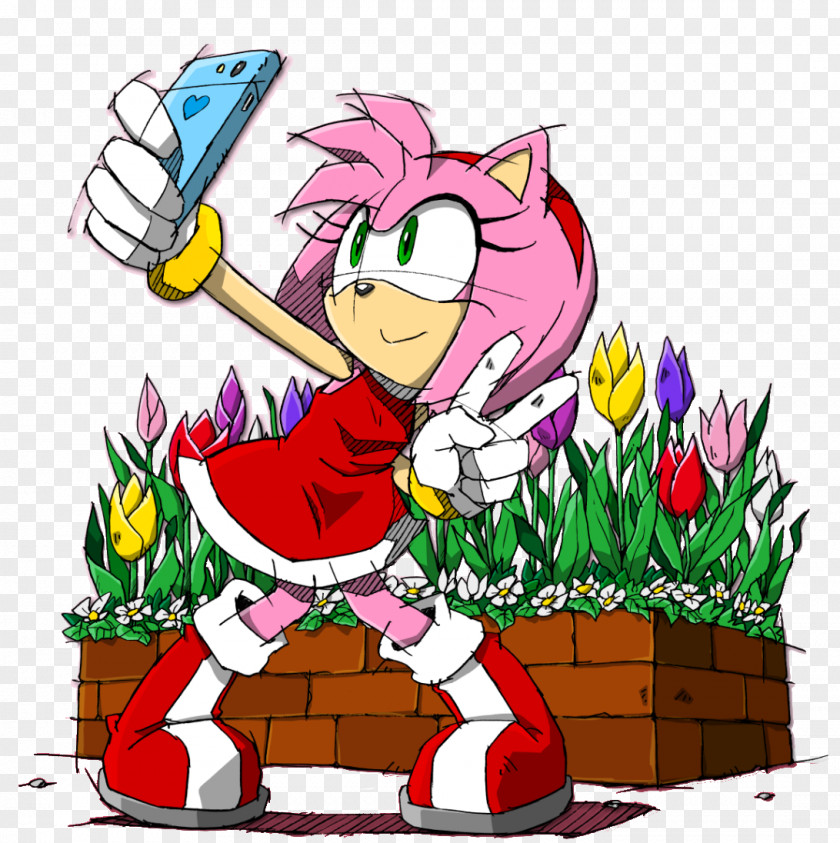 Amy Eyelashes Rose Sonic Adventure The Hedgehog 2 & Sega All-Stars Racing PNG