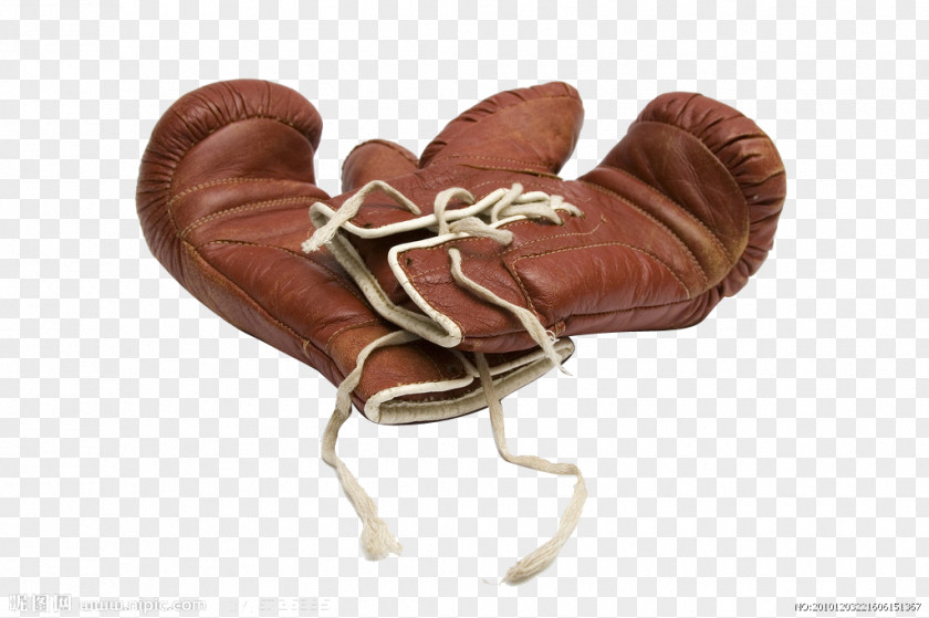 Boxing Gloves Glove Punch Stock Photography PNG