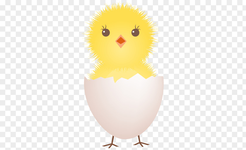 Chick Yellow-hair Chicken Roast Meat Hot PNG