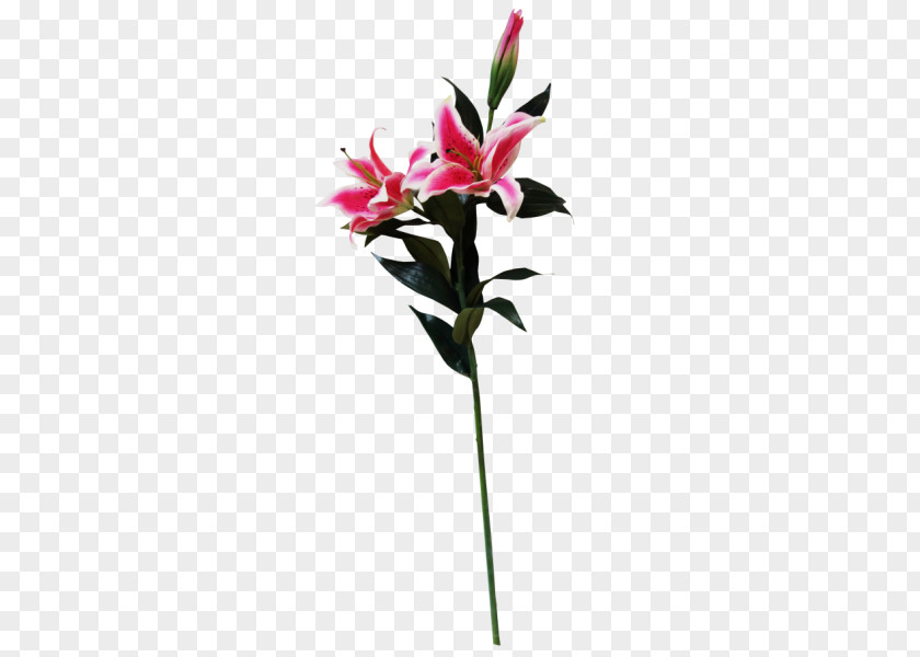 Flower Cut Flowers Flora Flowerpot Artificial PNG