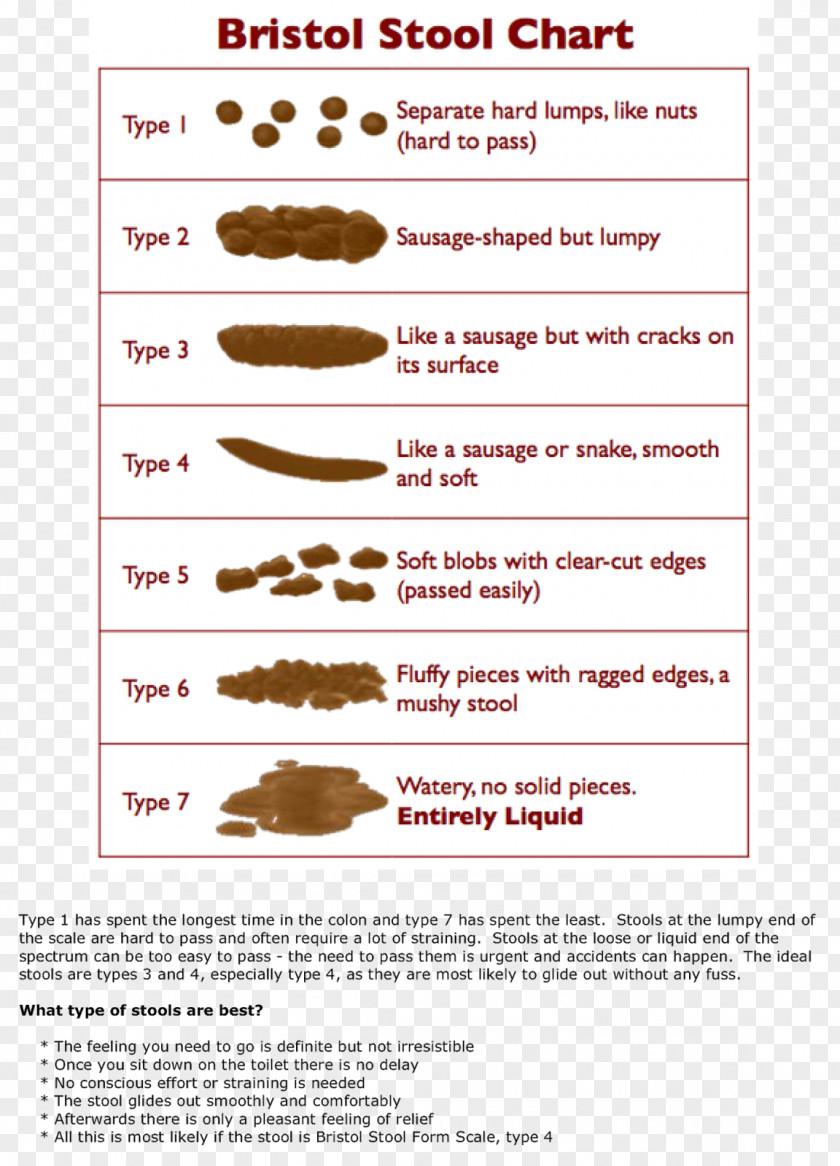 Health Bristol Stool Scale Human Feces Fecal Incontinence PNG