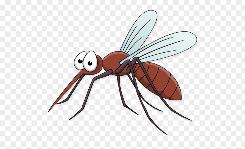 Mosquito Clip Art Vector Graphics Stock Illustration PNG