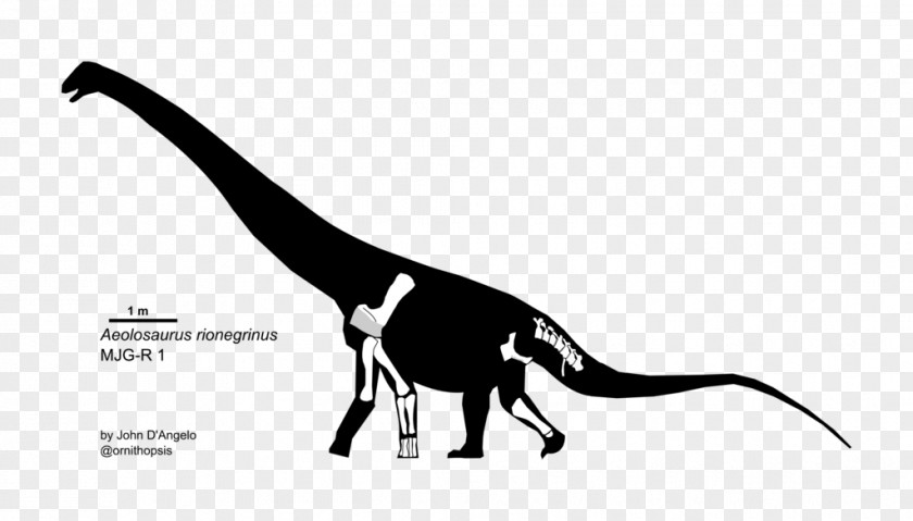 Eotriceratops Aeolosaurus Homo Sapiens Titanosaurus Ornithopsis Dinosaur PNG