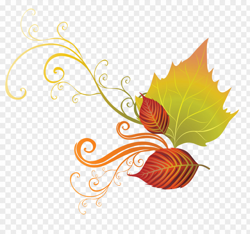 Fall Leaves Decor Clipart Autumn Leaf Color Clip Art PNG