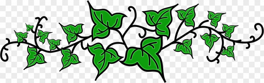 Flower Ivy PNG
