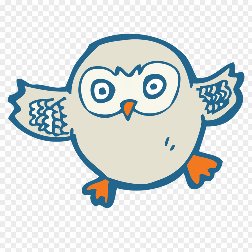 Owl Drawing Cartoon PNG