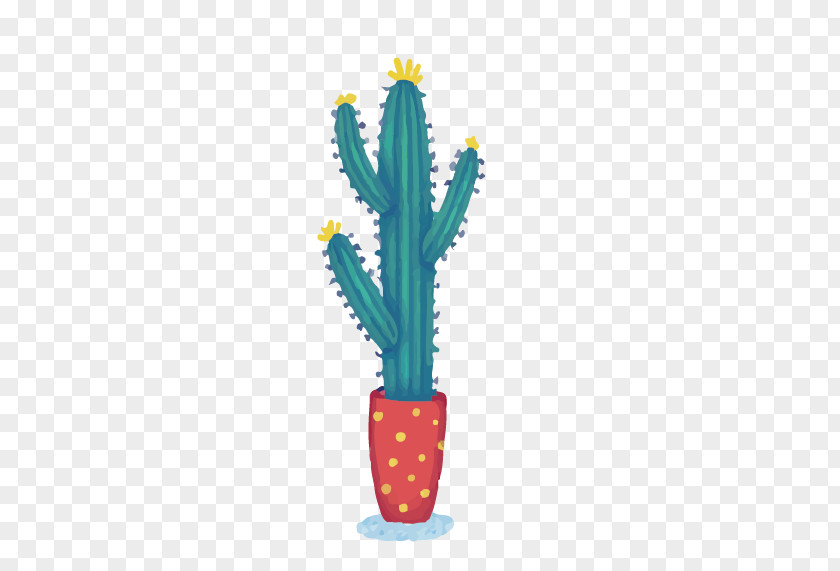 Slender Green Cactus Cactaceae Illustration PNG