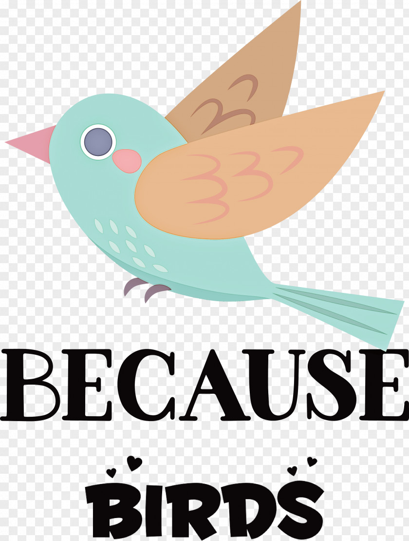 Because Birds Bird Animal PNG