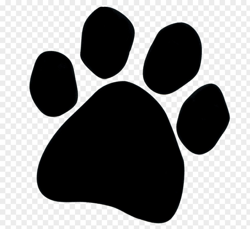 Dog Tiger Paw Stencil Cat PNG