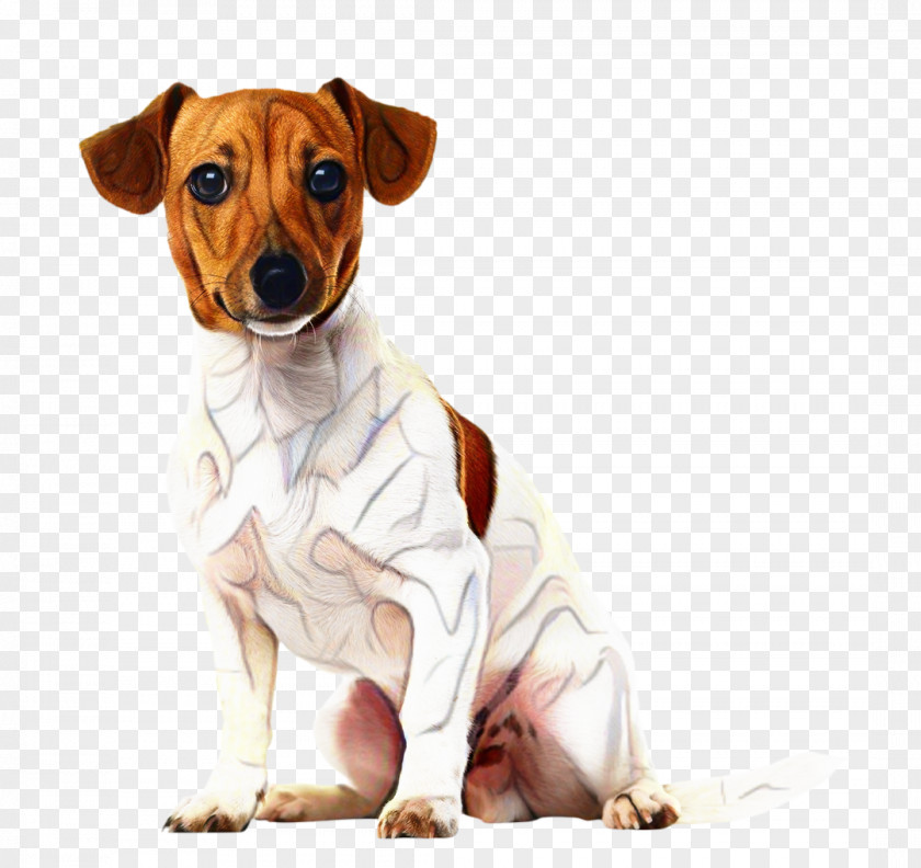 Harrier Rare Breed Dog Fox Drawing PNG