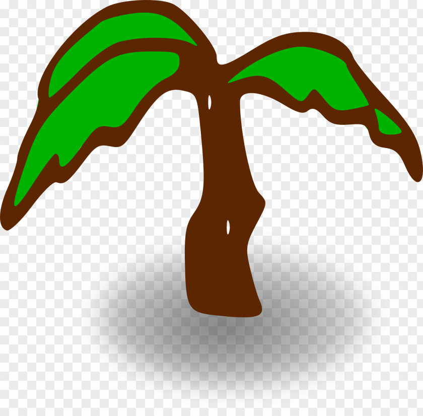 Palm Tree Arecaceae Clip Art PNG