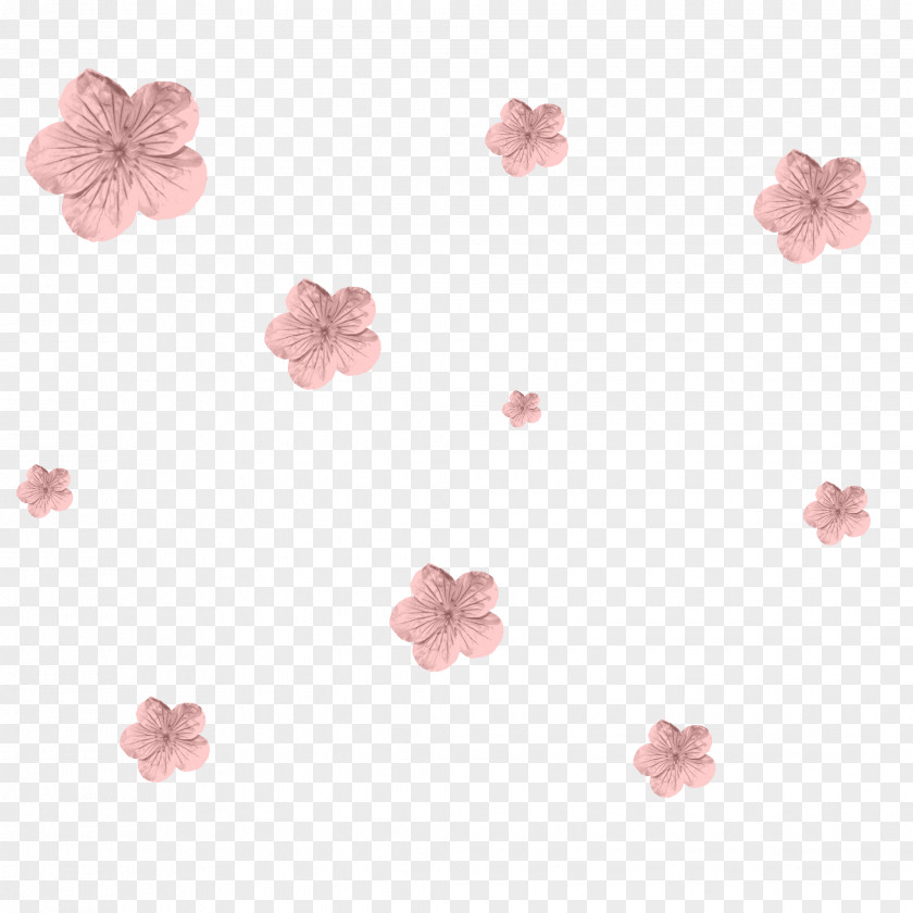 Plant Flower Cherry Blossom Cartoon PNG