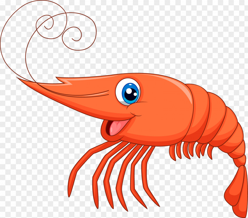 Shrimp PNG , shrimps, red shrimp clipart PNG