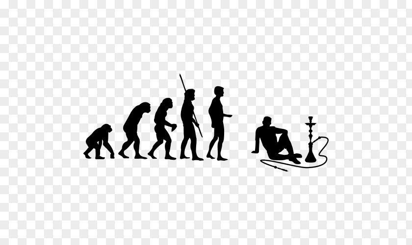 T-shirt Human Evolution Devolution Evolutionary Art PNG