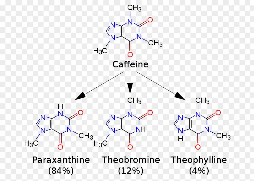 Coffee Tea Theobromine Paraxanthine Theophylline PNG