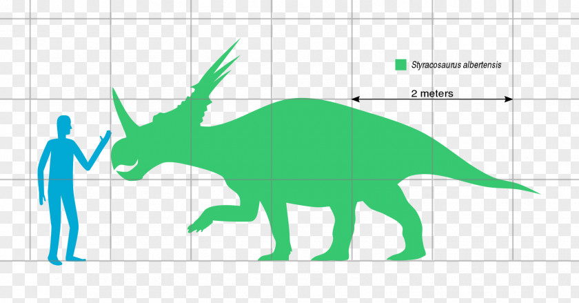 Dinosaur Styracosaurus Europelta Genus Ngoubou PNG