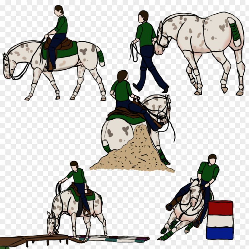 Horse Harnesses Pony Donkey Clip Art PNG