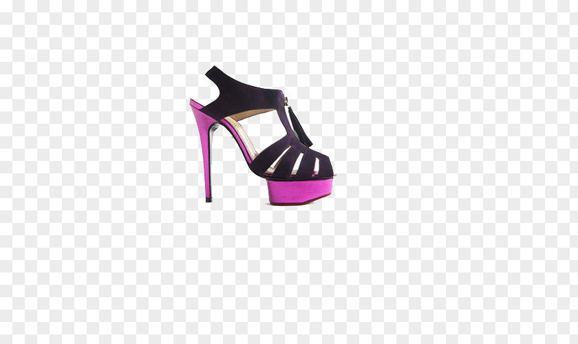 Nightclubs Shoes Shoe High-heeled Footwear Charlotte Olympia Designer PNG
