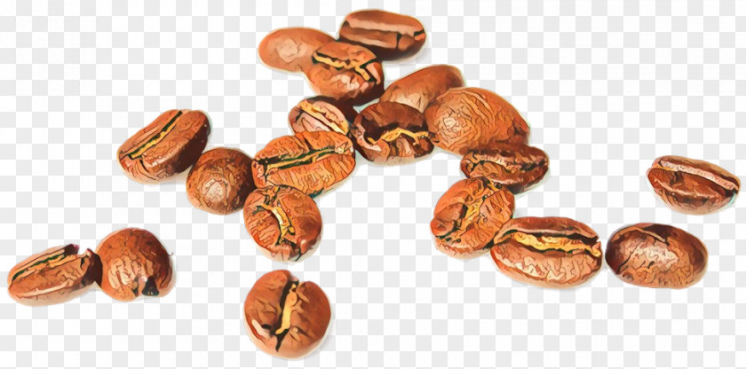 Nuts Seeds Superfood Cake Cartoon PNG
