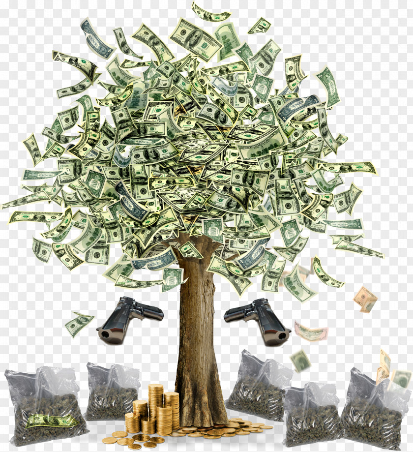 Tree Money Finance Bank Currency PNG