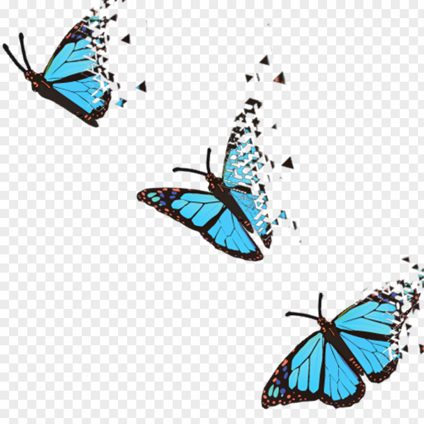 Butterfly Clip Art PNG