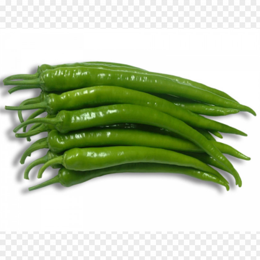 Green Pepper Capsicum Chili Ibarra Chilli Peppers Vegetable Seed PNG