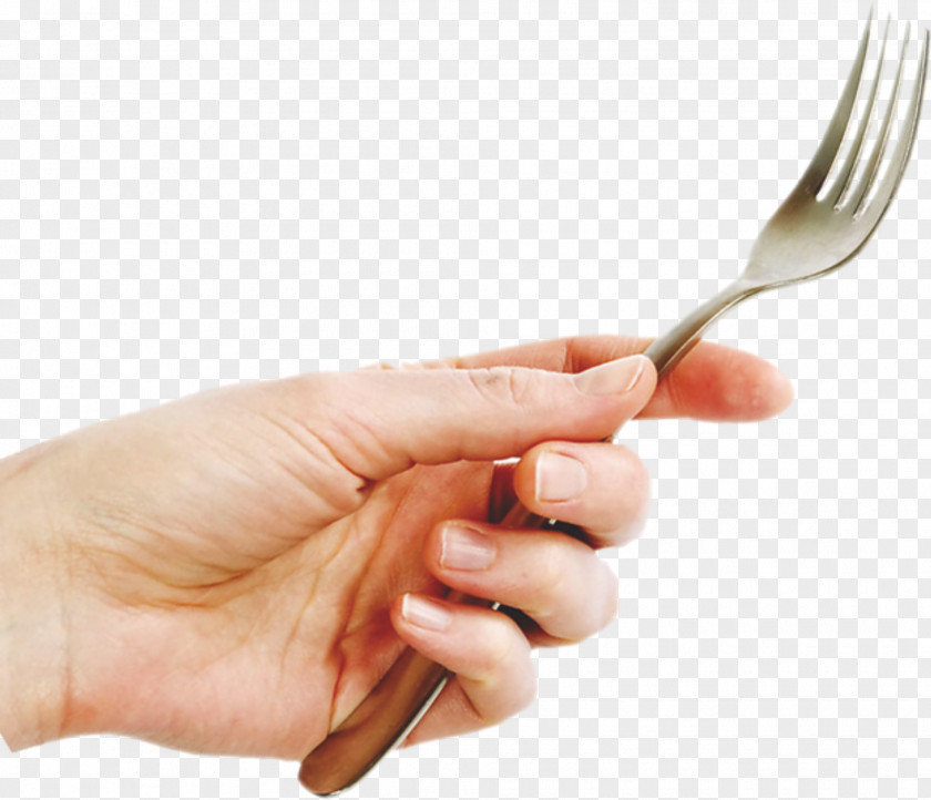 Hand Fork Hands Download Icon PNG