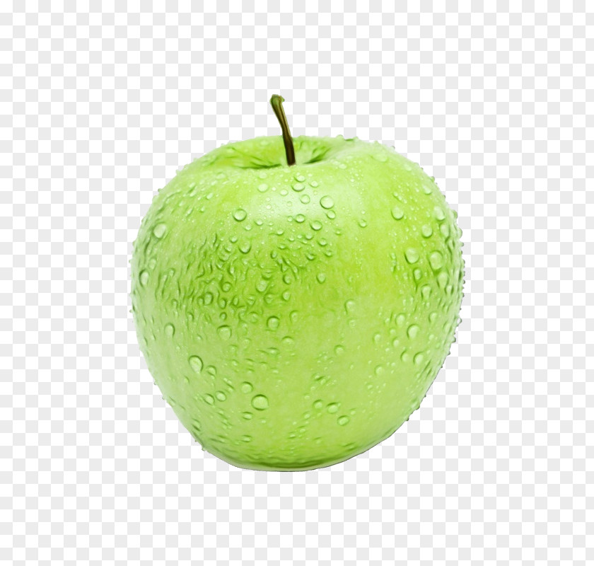 Malus Flowering Plant Granny Smith Green Apple Fruit PNG