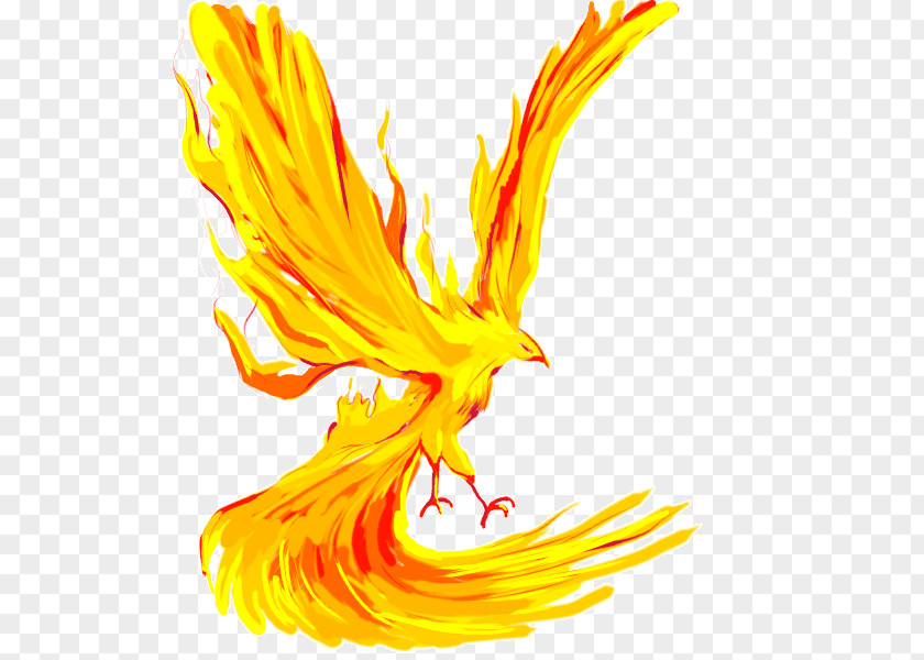 Phoenix LethalChris Drawing Cartoon Pencil PNG