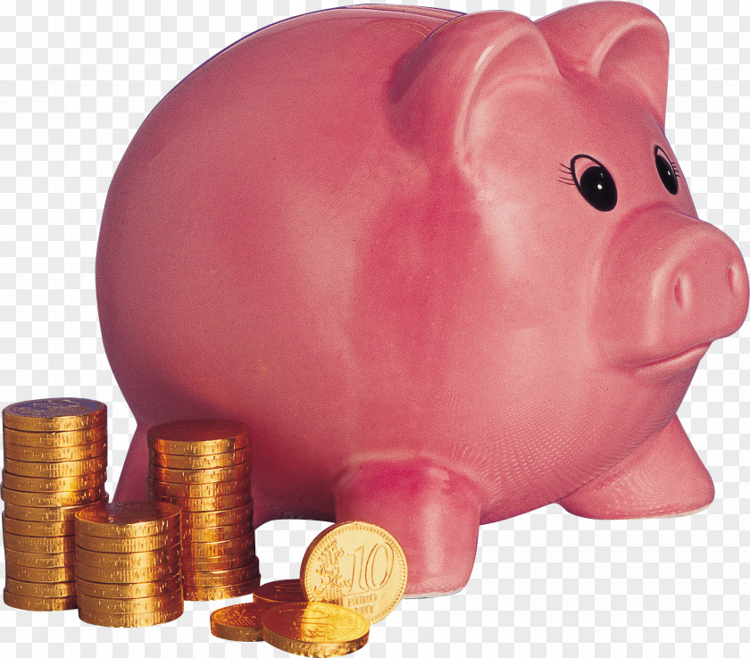 Piggy Bank Domestic Pig Money Coin PNG