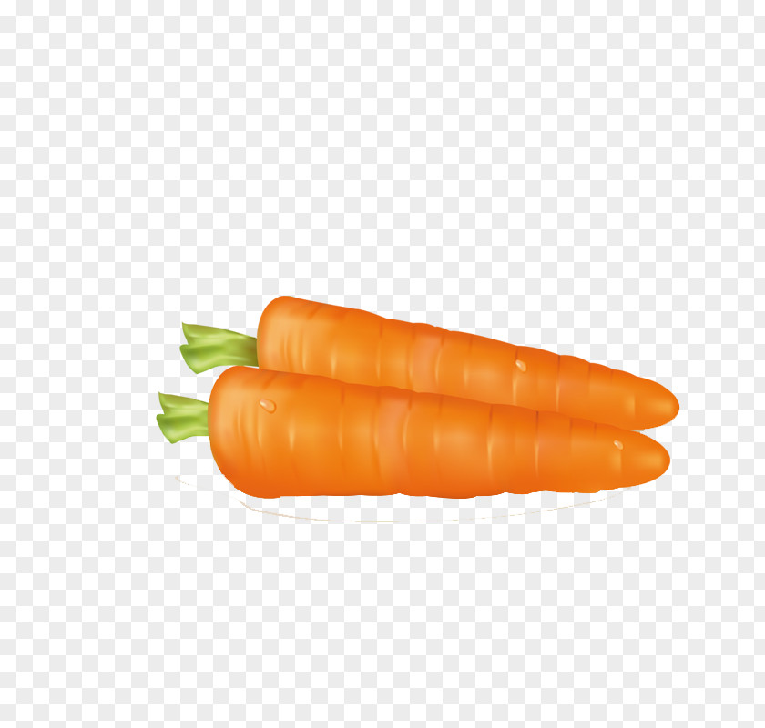 Carrot Baby Sausage Vegetable PNG