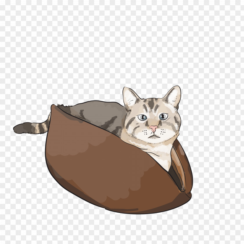 Cat Tree Kitten Pet Whiskers PNG