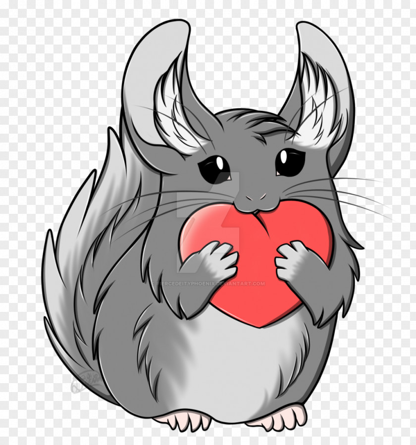 Chinchilla Domestic Rabbit Cat Drawing Clip Art PNG