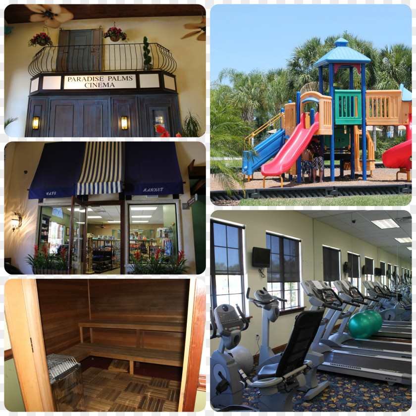 Hotel Kissimmee Orlando Walt Disney World Paradise Palms Resort PNG