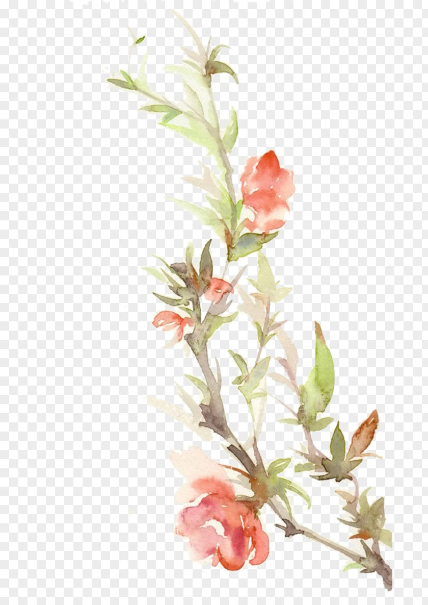 Peach Color Ink Picture Material Paper Watercolor Painting Floral Design PNG