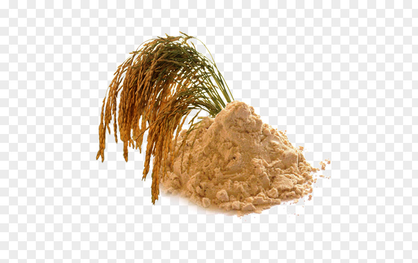 Rice Agriculture Cereal Protein Food PNG