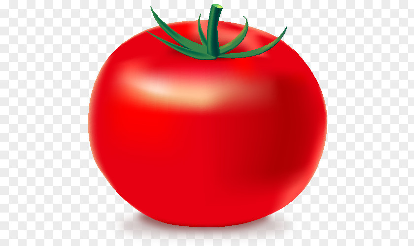 Vegetable Free Icon Tomato Jambalaya PNG