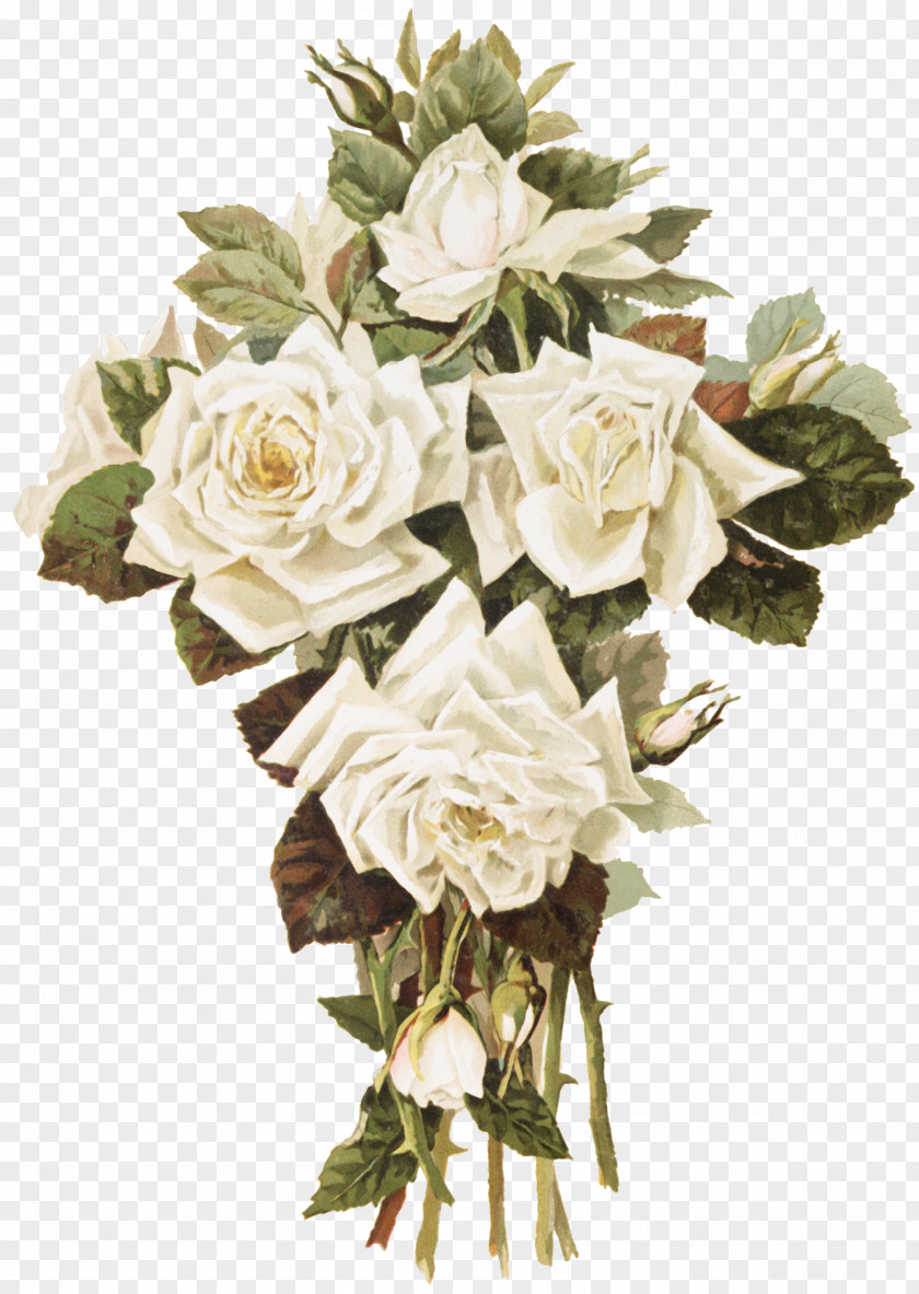 Flower Garden Roses Cut Flowers Floral Design Bouquet PNG