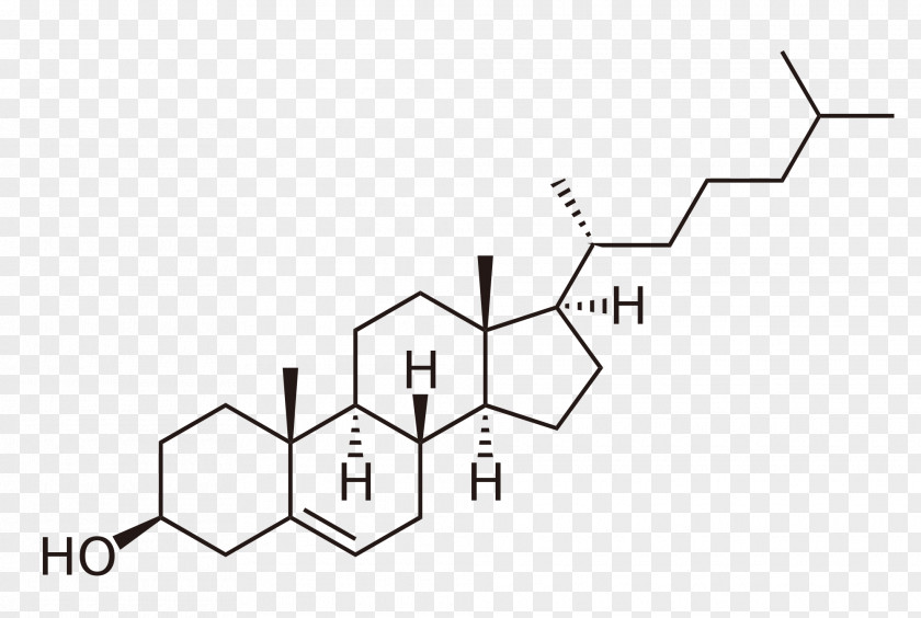 Fonts Designe Cholesterol Phytosterol Lipid Steroid PNG