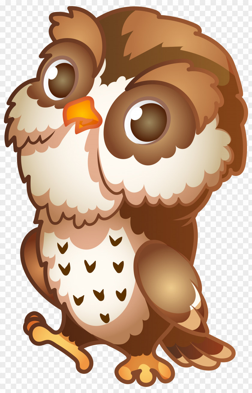 Owl Cartoon Clip Art PNG