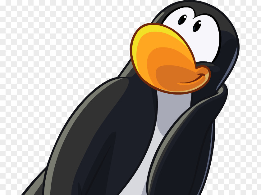 Penguin Club Blog PNG