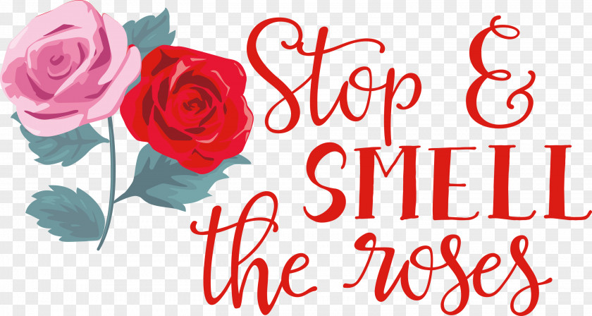 Rose Stop And Smell The Roses PNG