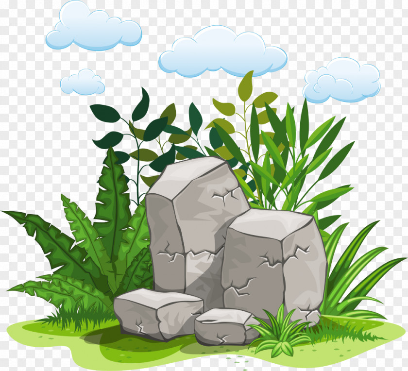 Vector Grass Stone Rock Illustration PNG