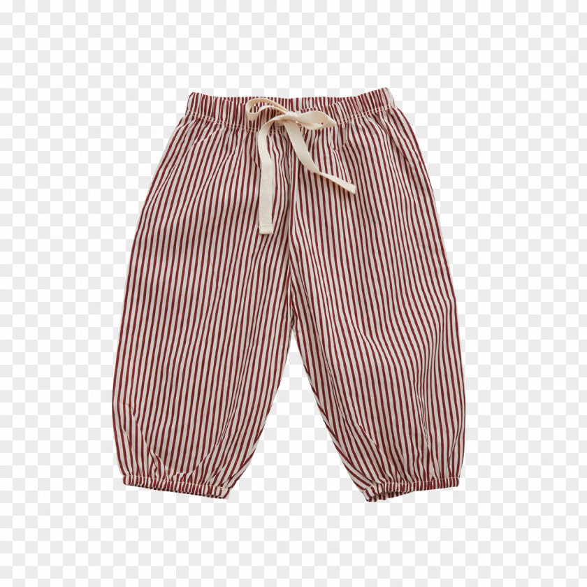 Vertical Stripe Bermuda Shorts Pants PNG