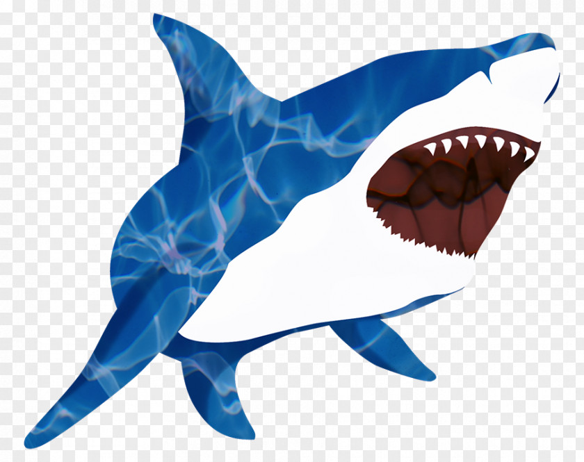 BABY SHARK Great White Shark Isurus Oxyrinchus Tooth Requiem PNG