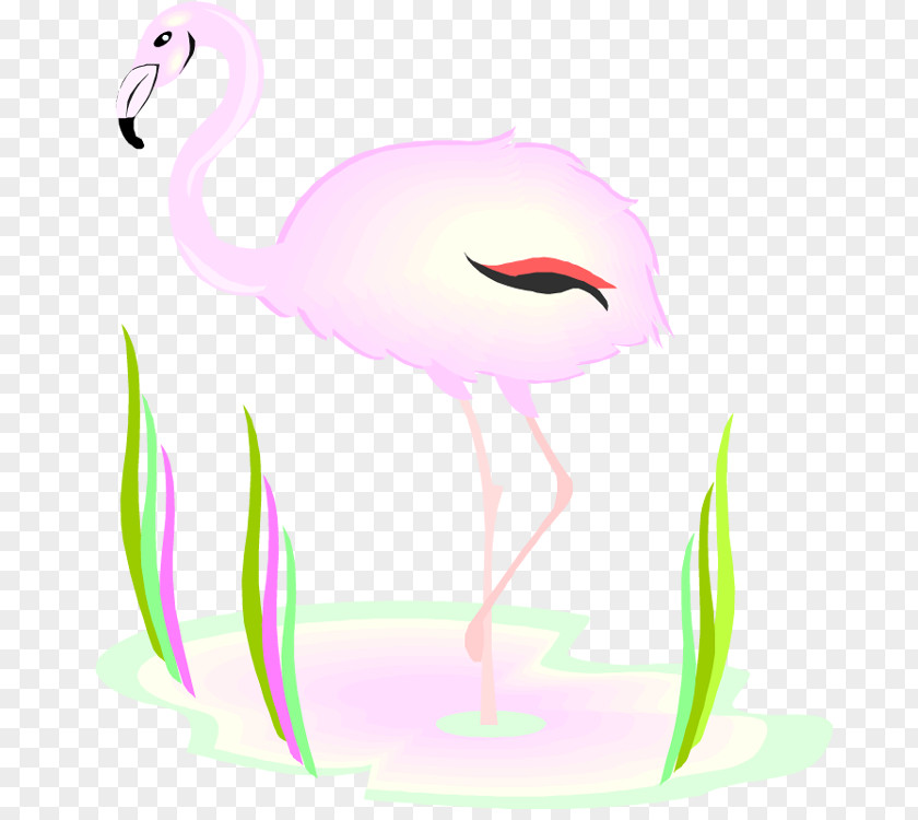 Bird Beak Crane Feather Clip Art PNG