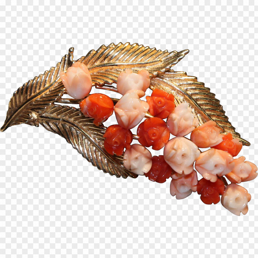 Cockle PNG